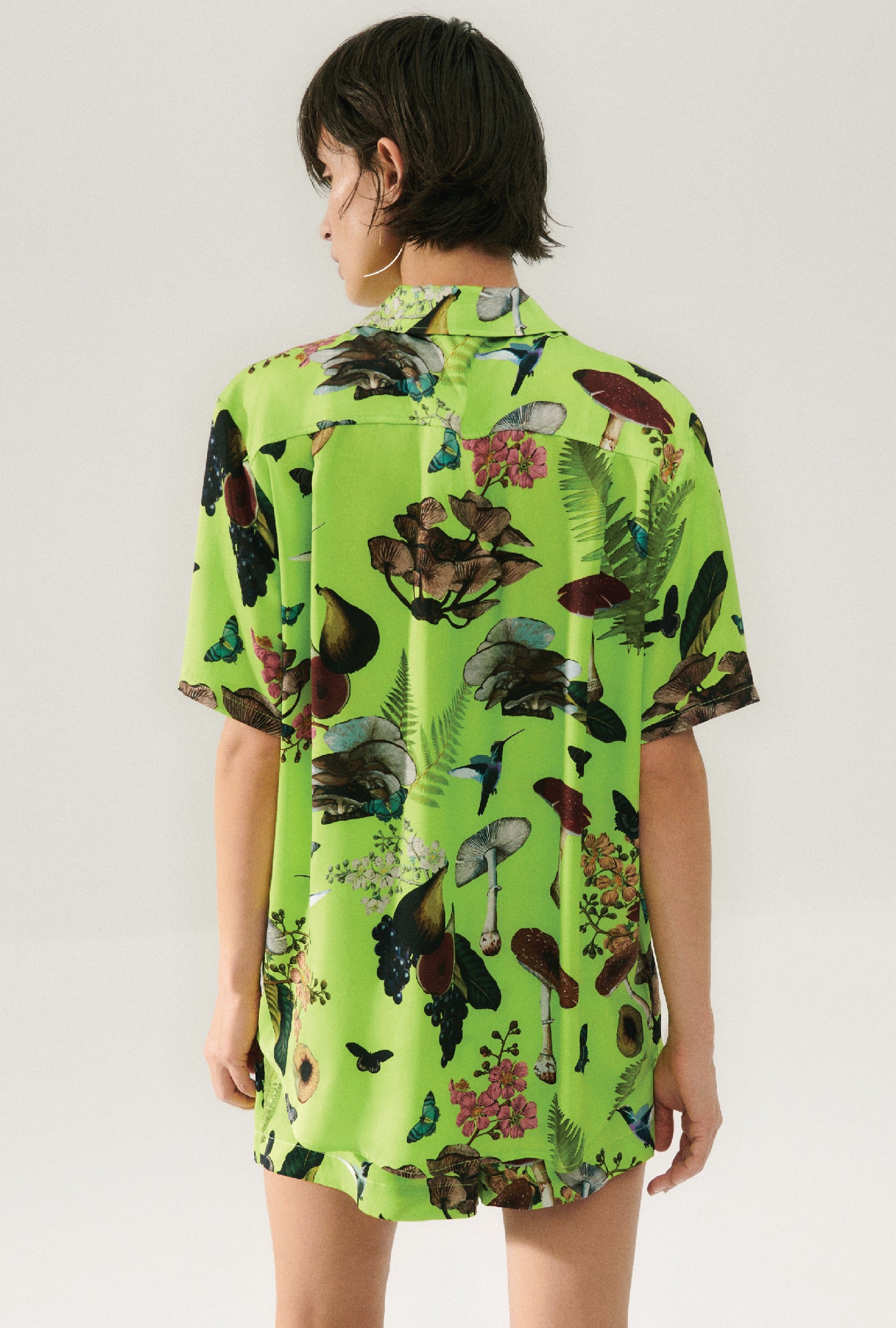 CHEMISE PETIT AMI À MANCHES COURTES MAGIC MUSHROOM FERN 