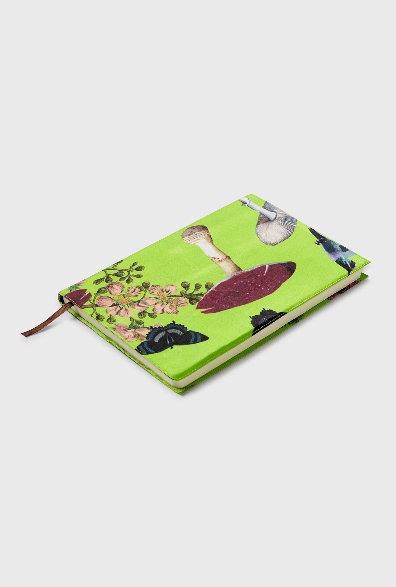 CARNET MAGIQUE FERN CHAMPIGNON